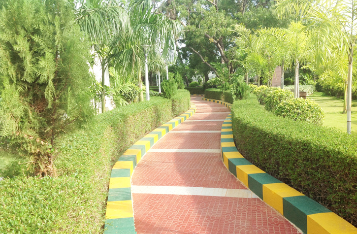 chennai terrace gardens, garden management in chennai, chennai garden management, chennai landscape architects, garden maintenance in chennai,terrace gardens in chennai, swimming pool maintenance in chennai, chennai landscape architects, landscaping in chennai,garden management in chennai, swimming pool designers in chennai,gardening in chennai,
